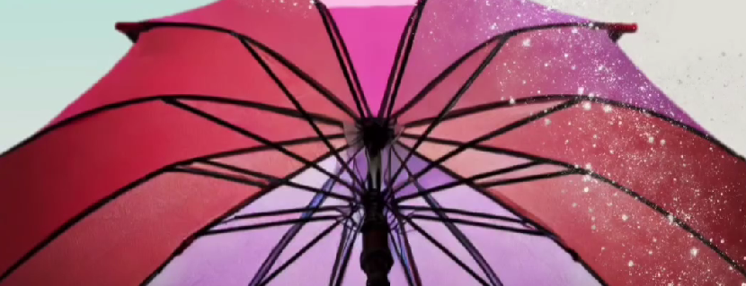 Mai-Juli 24  | Workshop-Reihe rund um Community Empowerment | Köln